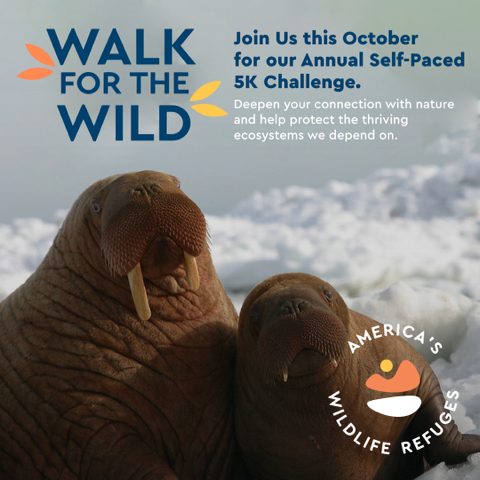 Walk for the Wild