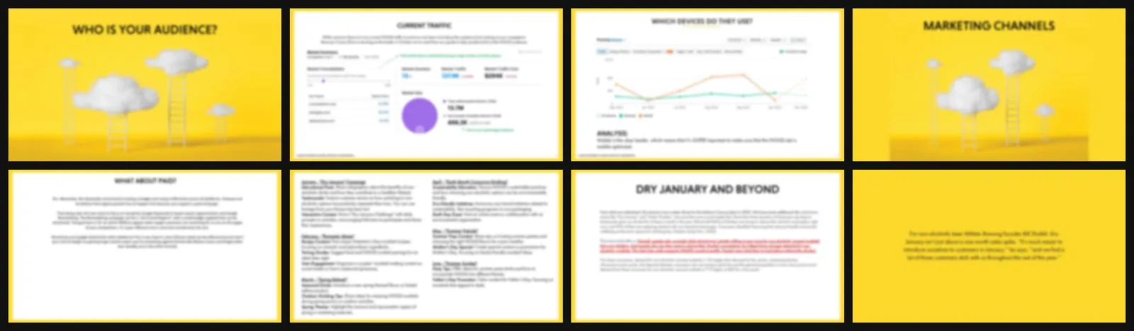 Inside the 42-page Brand Launch Toolkit (blurred to protect the client)
